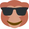 coolmonkey