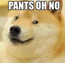 Pants_oh_no