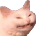 :smugcatto: