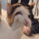 Ok Discord emoji