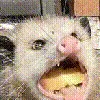 blMonch