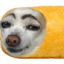 dogtwinkie3