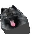 barnwobble