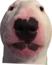 Bruh
