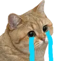 crycat