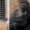 fuckthis