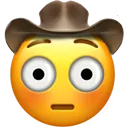 flushedcowboy