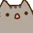 wowcat