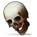 skull skull
