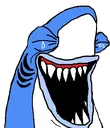 sharkkek