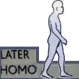 laterHomo