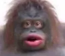 poop