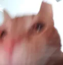 pain