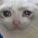 SadCat
