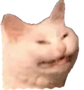 sssss