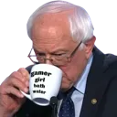 GamerBern Discord Emoji