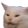 Cat Why catWHY Discord Emoji