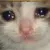 cri