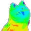 sapo