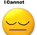 icannot