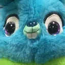 bunnyondrugs