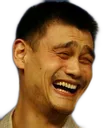 yao1