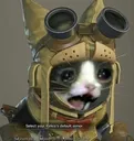 sadpalico