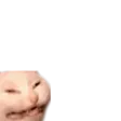 smoltacticat