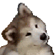 huh Discord emoji