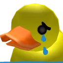 sadduck
