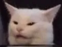 AngeryCate AngeryCate