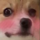 uwukawaiidoggo uwukawaiidoggo