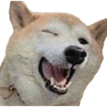 :winkdog: Discord Emote