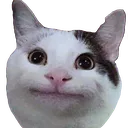 uhm