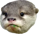 otterplz
