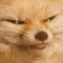 :ooSilentlyJudging: Discord Emote