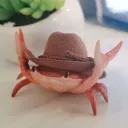 Crab