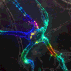 ndneuron Discord emoji