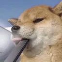 wannahitmyjuul