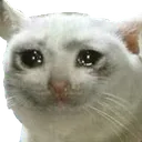 sadcatto