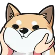 shibesquish