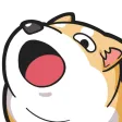 shibederp shibederp