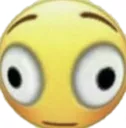 bigbrainflush