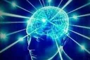 bigbrain