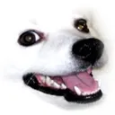KRDoggoSmug KRDoggoSmug