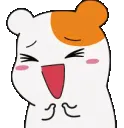 HamHappysmile HamHappysmile