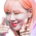 DonggiePoints