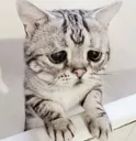sad