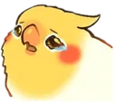 birb3