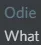 what